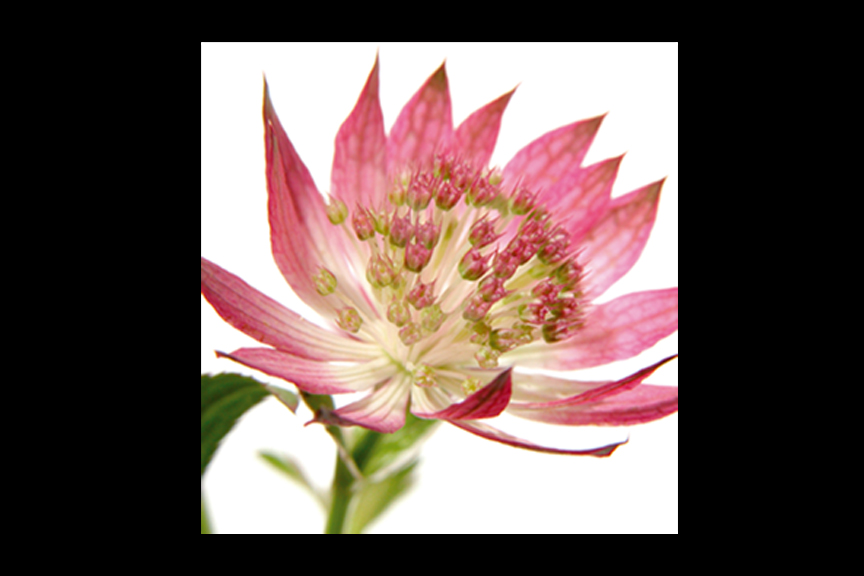 Kunst_vor_Knapp_Ausstellung_Christiane_Mader01