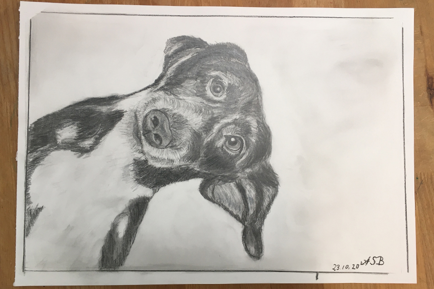 07Einzelunterricht_Malkurs_Zeichenkurs_Christiane_Mader