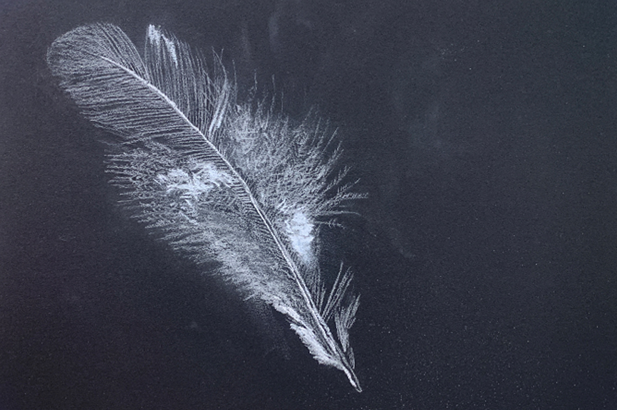 25_01_Zeichenkurs_Wiesbaden_Christiane_Mader