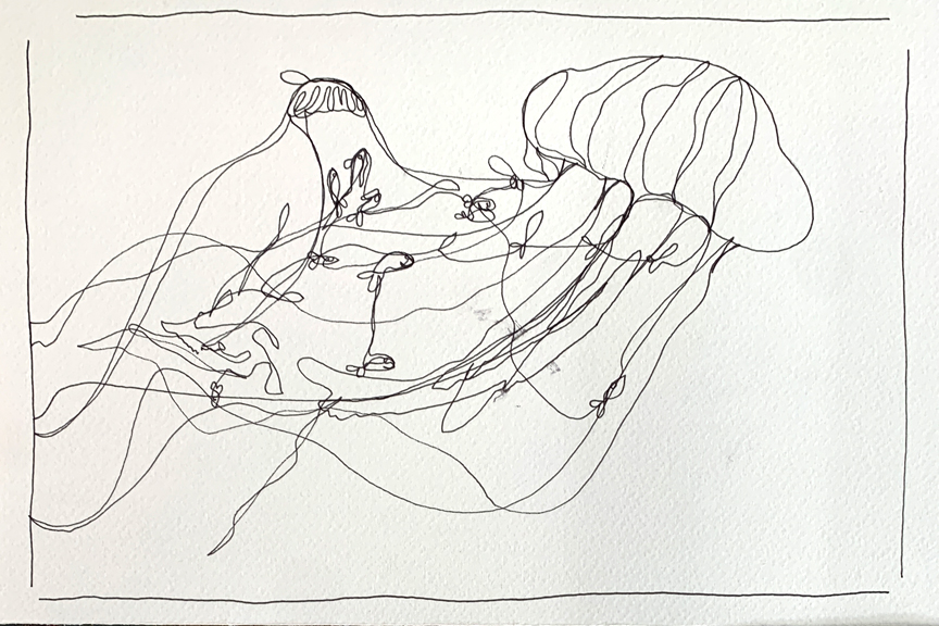 11_1000+1Linie_Zeichenworkshop_Kulturtage_Christiane_Mader